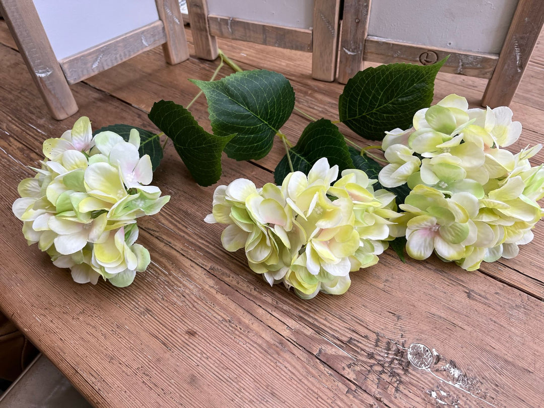 Hortensia bosje met drie bloemen